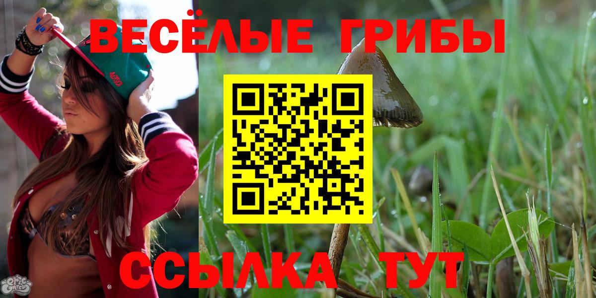 Ростов-на-Дону  наркота  Вход с VPN  Псилоцибиновые грибы мицелий  Галлюциногенные грибы Psilocybe 