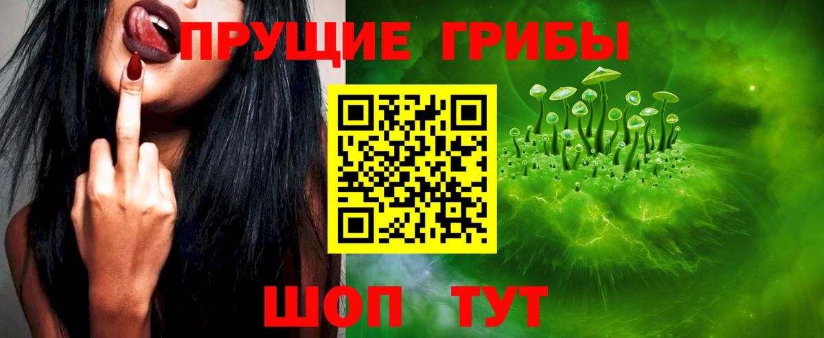 Галлюциногенные грибы Psilocybe Ростов-на-Дону